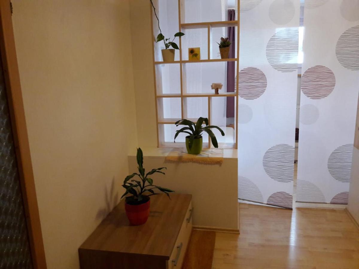 Ferienwohnung Brandstatter Виндишгарстен Экстерьер фото